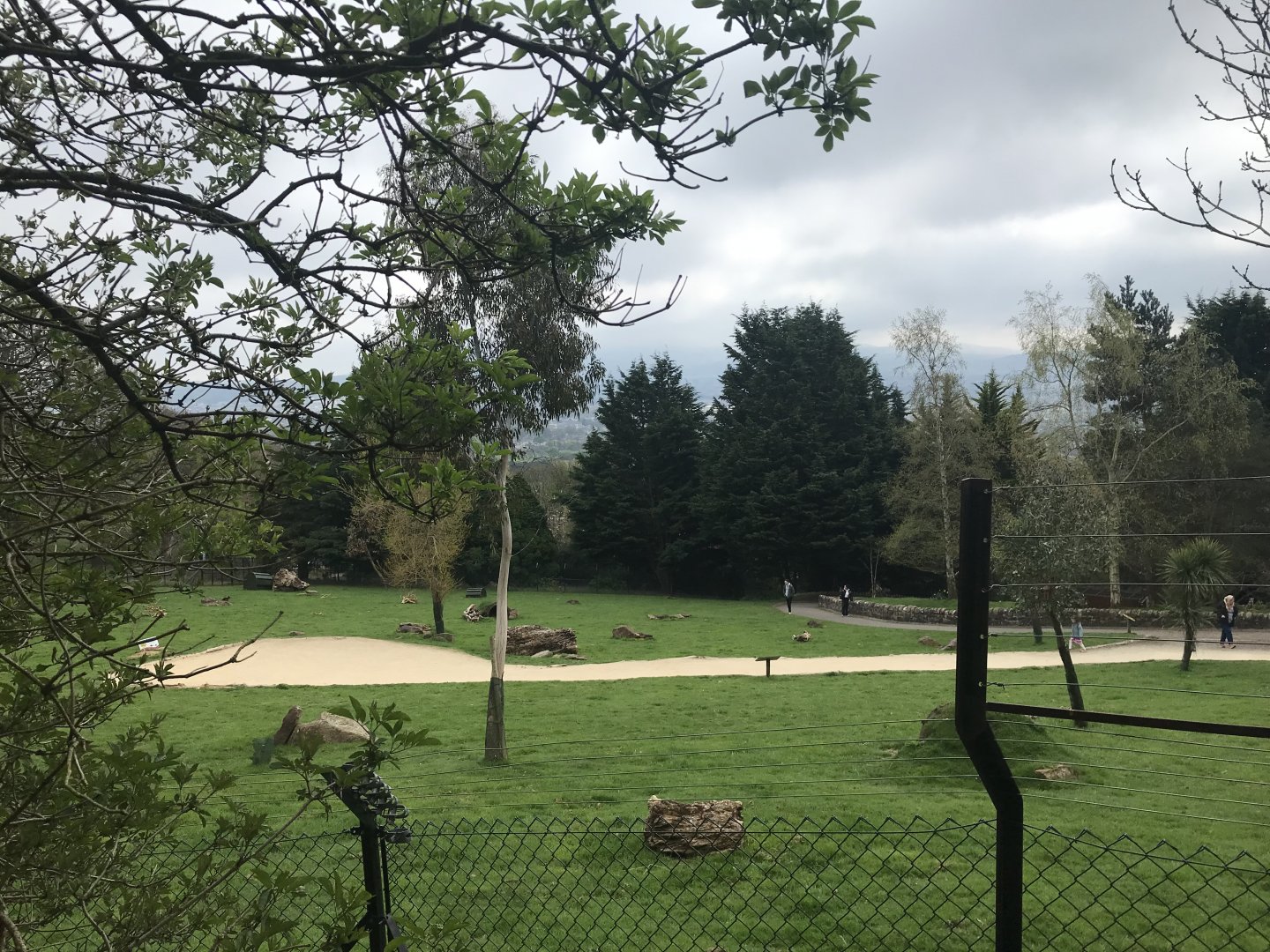 Wallaby and kangaroo enclosure (6)