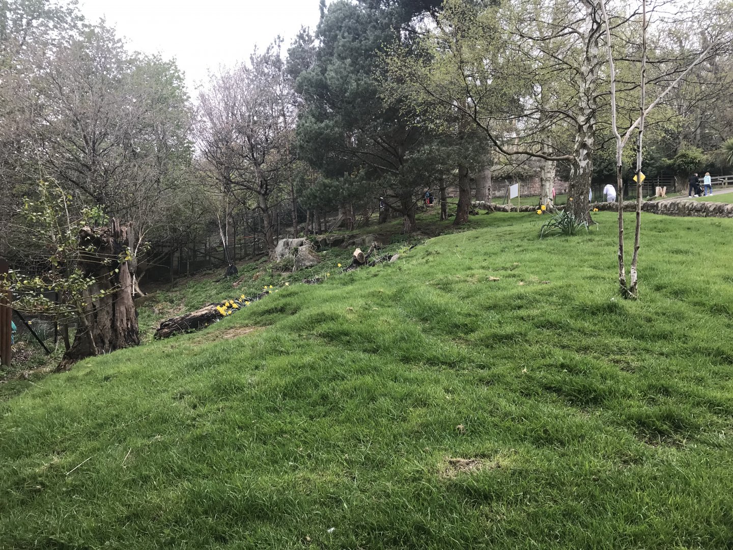 Wallaby and kangaroo enclosure