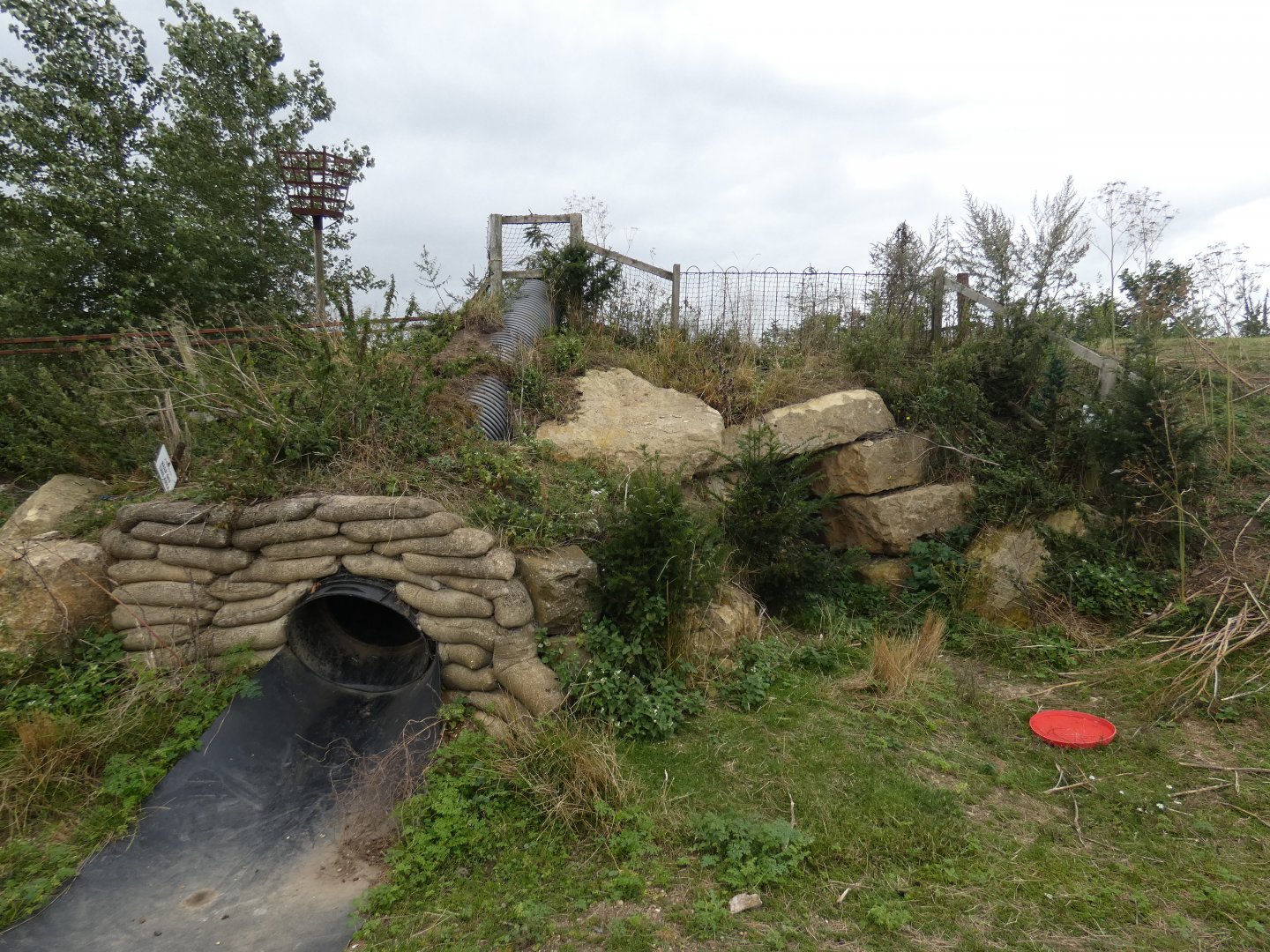 Wallaby and Mara enclosure (Johnson's of Old Hurst)