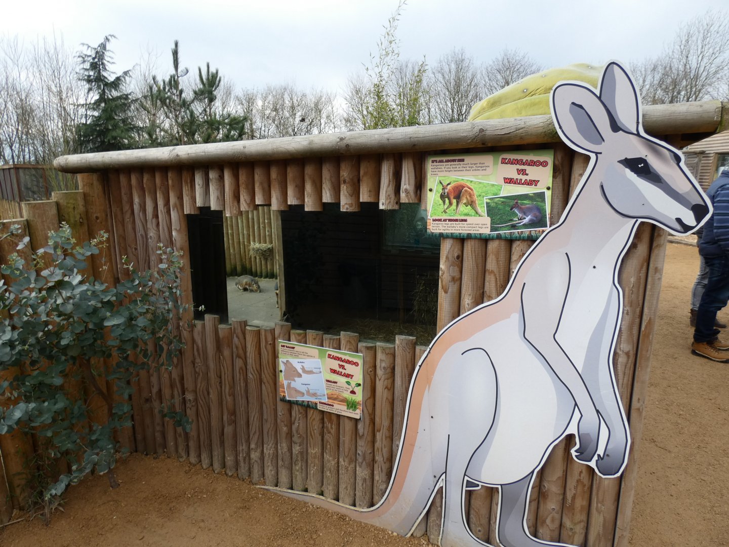 Wallaby and Mara house