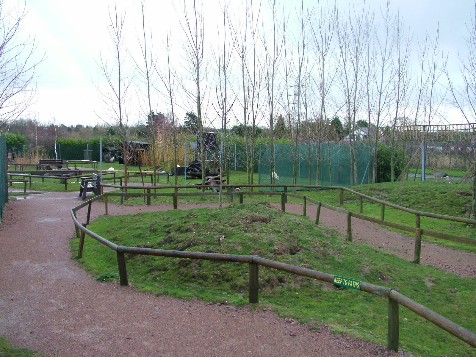 Wallaby and Mara Walkthrough at Tropical Wings 29/11/09