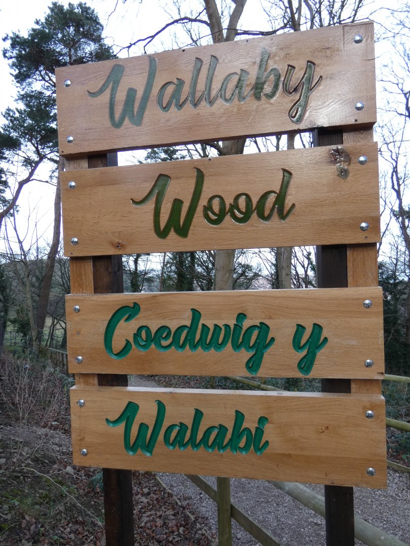 Wallaby and Rhea Enclosure Signage