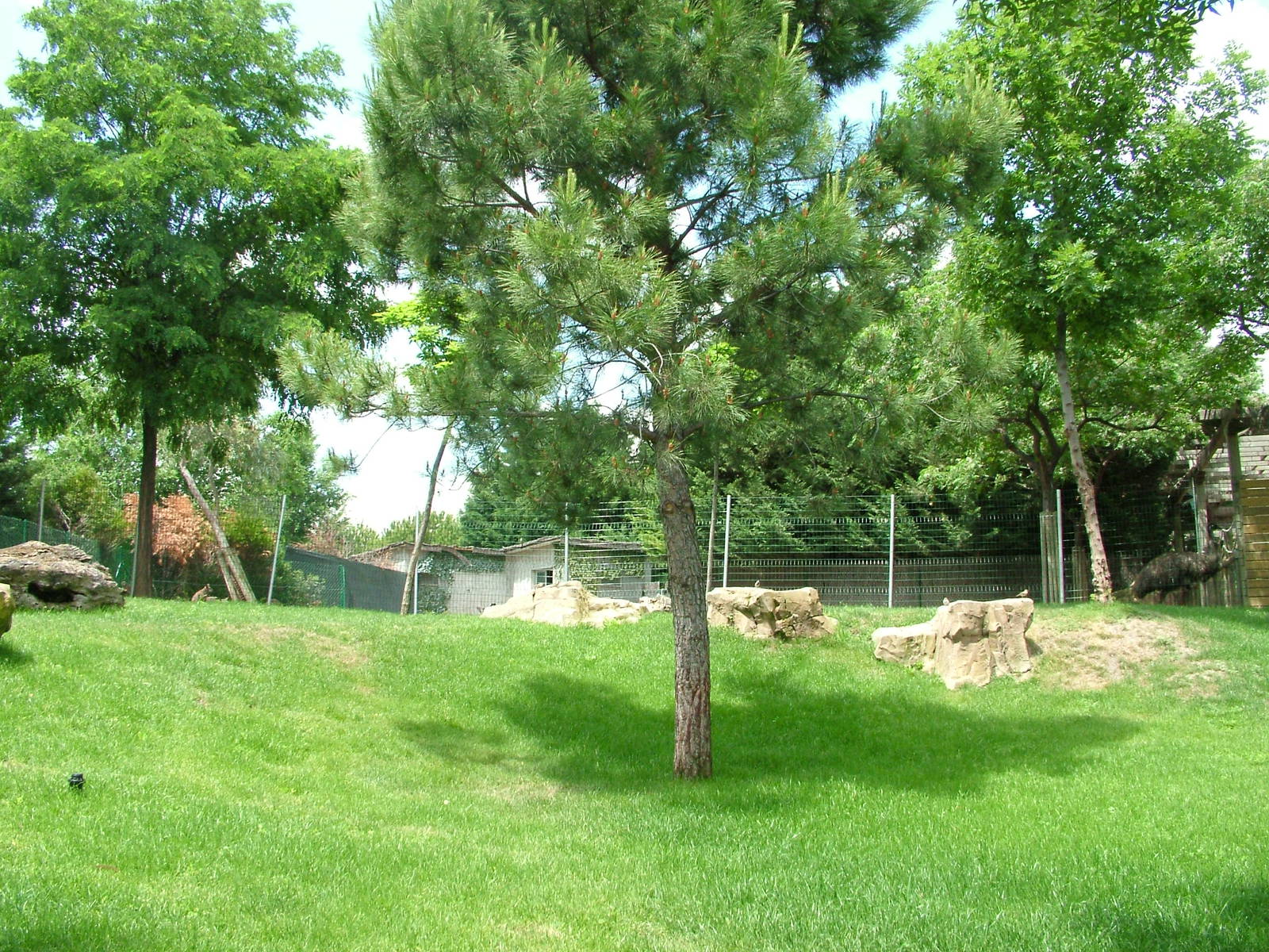 Wallaby/Emu Exhibit at Faunia, 27/05/11