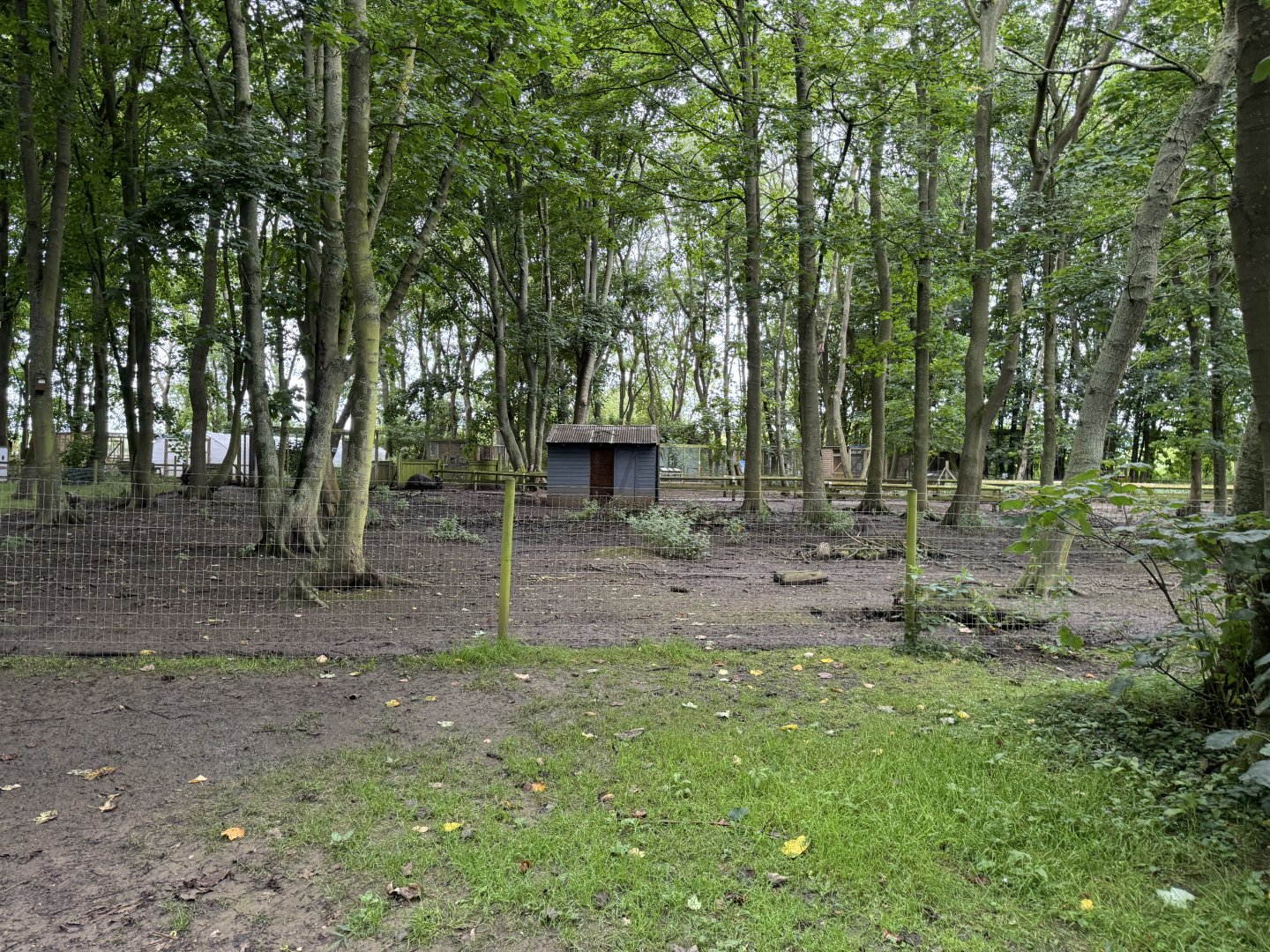 Wallaby / Emu / Mara Walkthrough Enclosure at Bridlington Animal Park (July 2024)