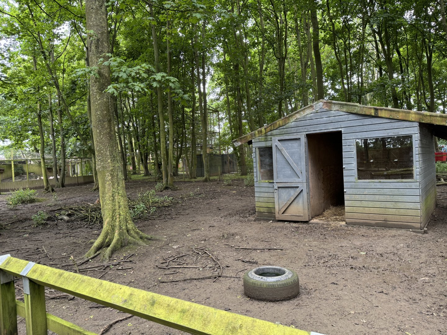 Wallaby / Emu / Mara Walkthrough Enclosure at Bridlington Animal Park (July 2024)