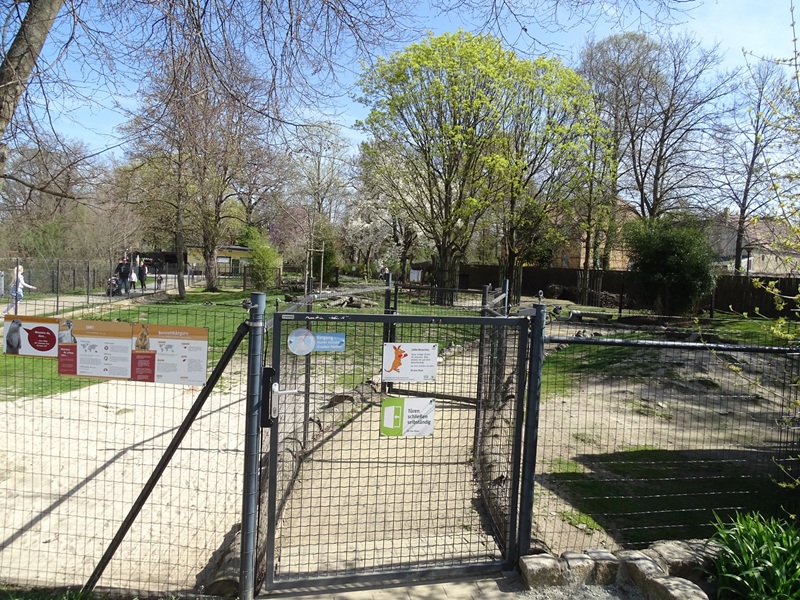 Wallaby / emu walkthrough enclosure