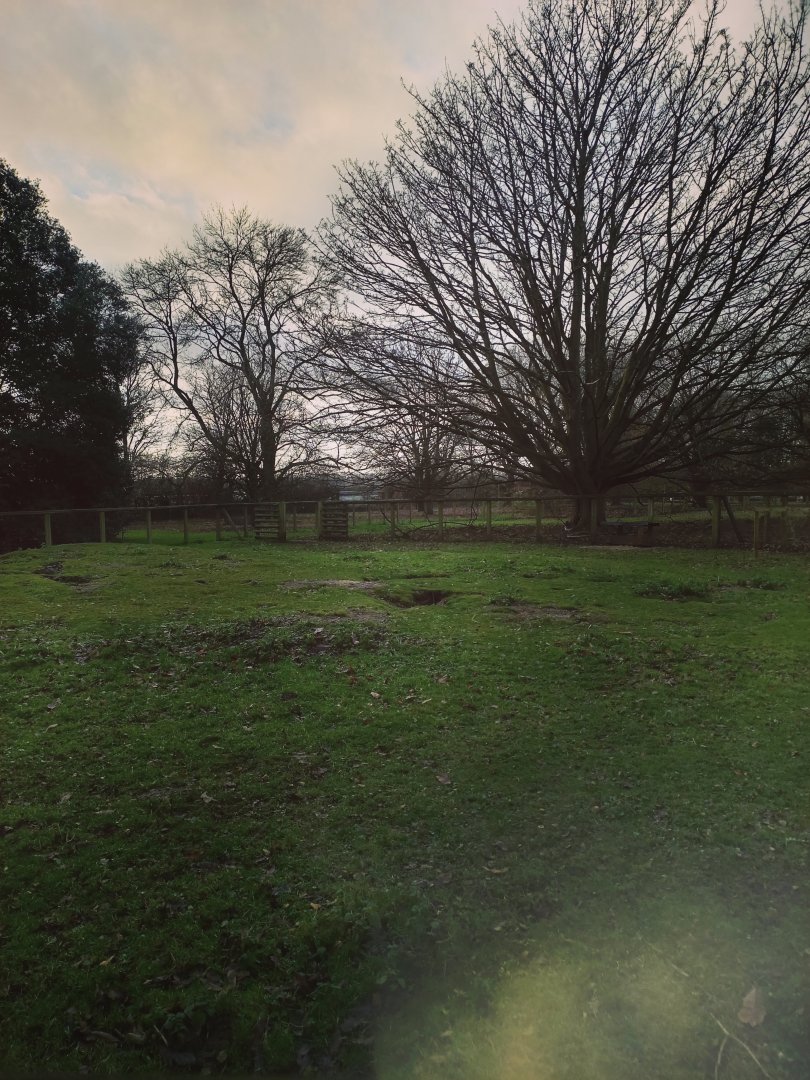 Wallaby enclosure 17/12/23