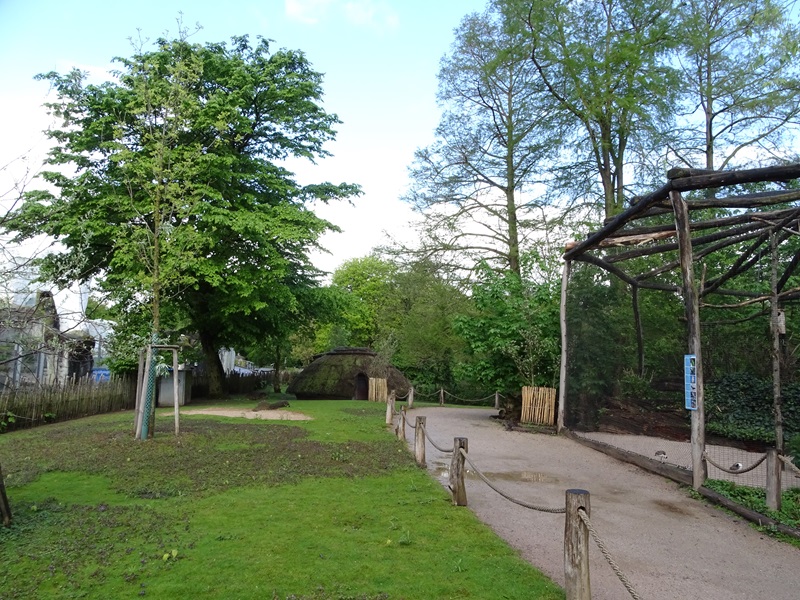 Wallaby enclosure and Australian aviary