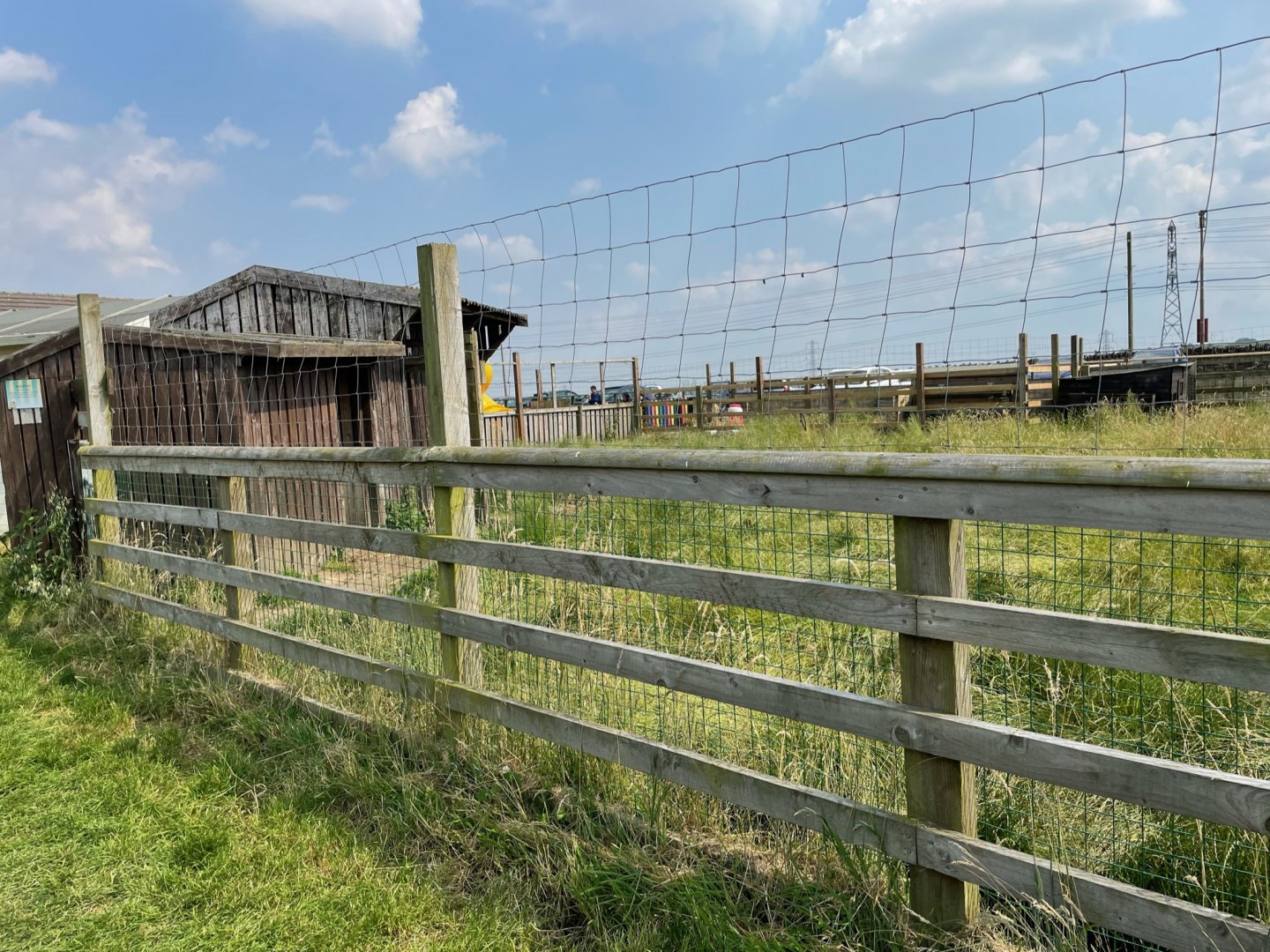 Wallaby Enclosure at Charlotte's Ice Cream Parlour (July 2021)