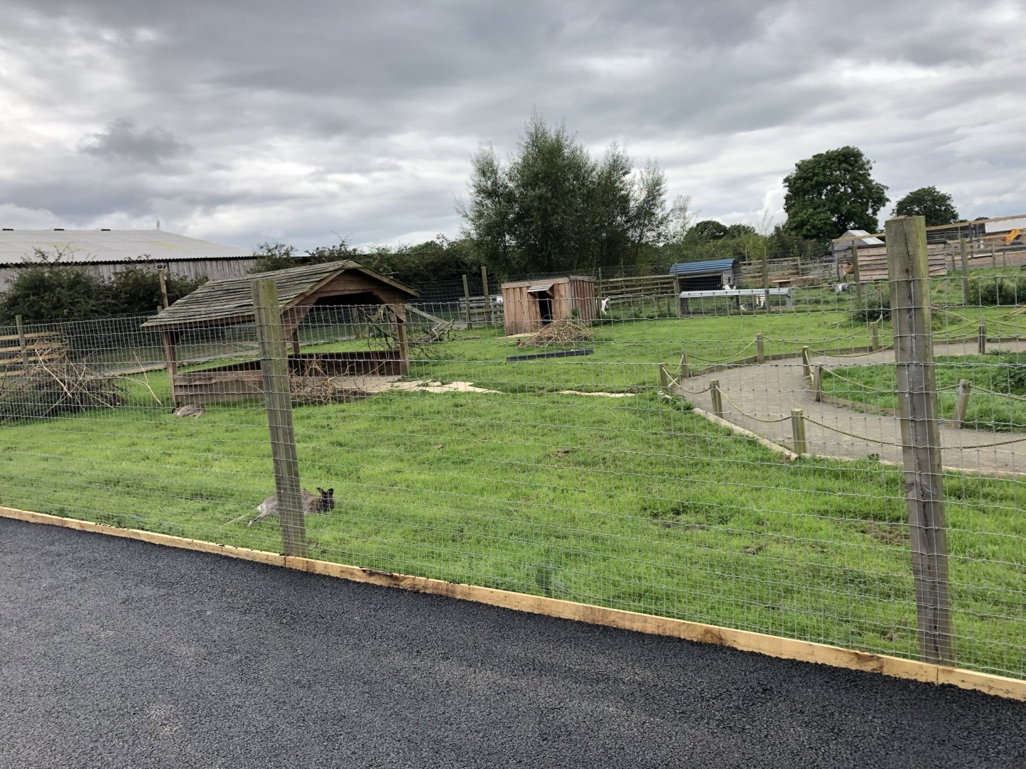 Wallaby Enclosure at Northumberland Country Zoo (September 2021)