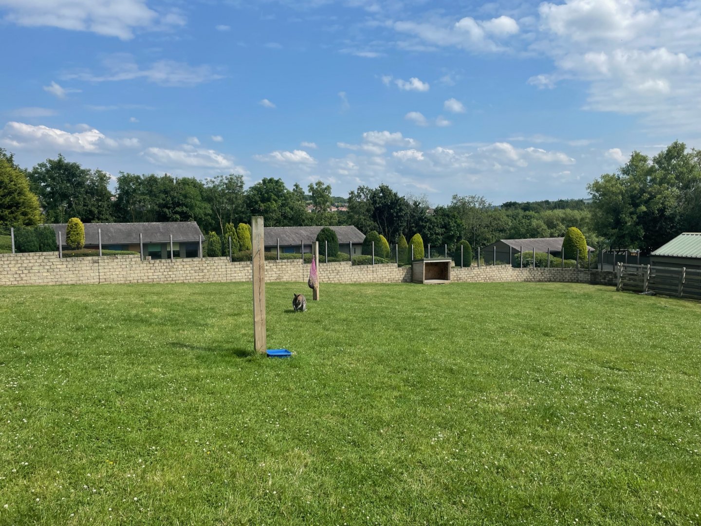 Wallaby Enclosure at Ponderosa Zoo (July 2021)