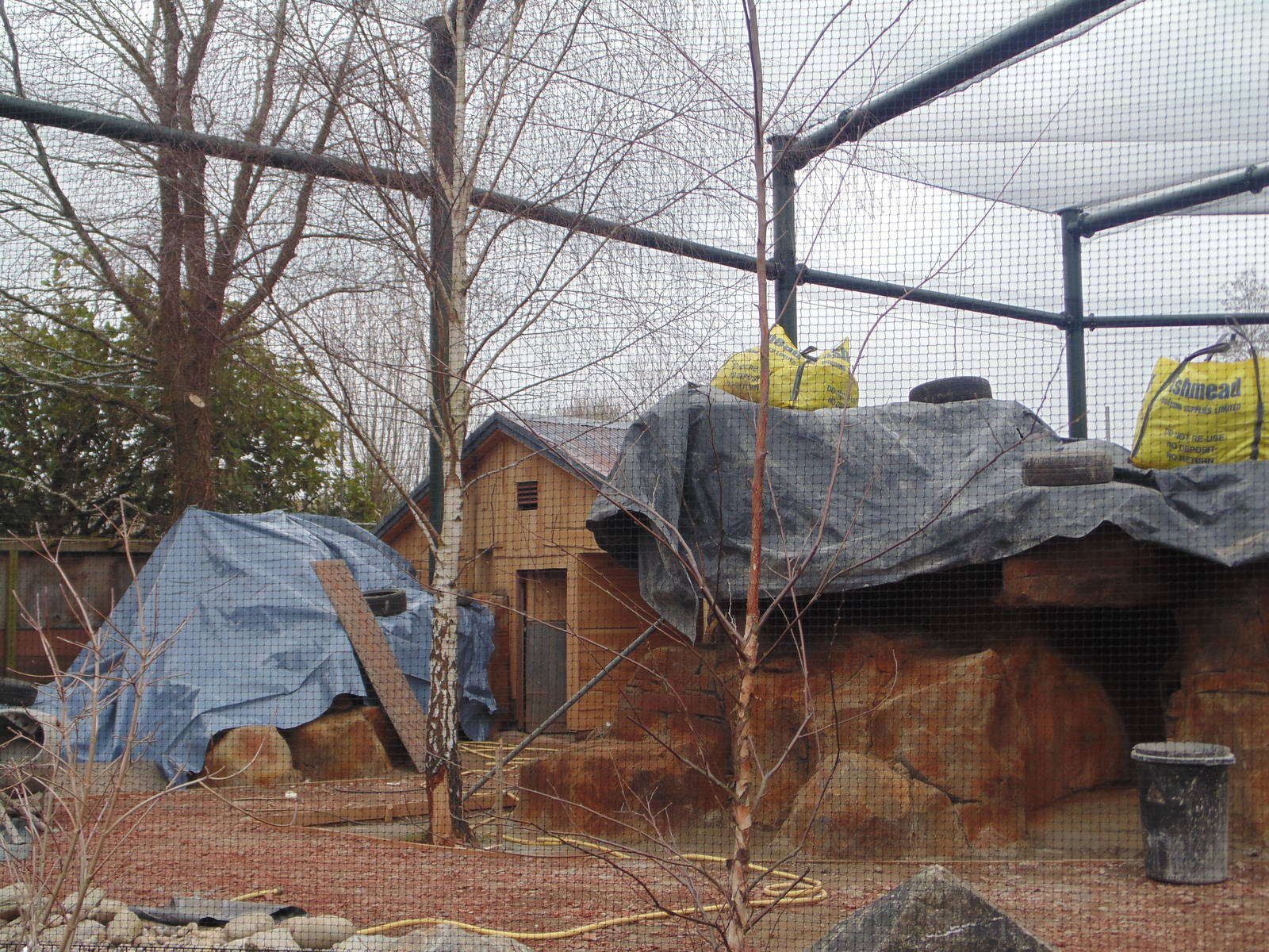Wallaby enclosure progress