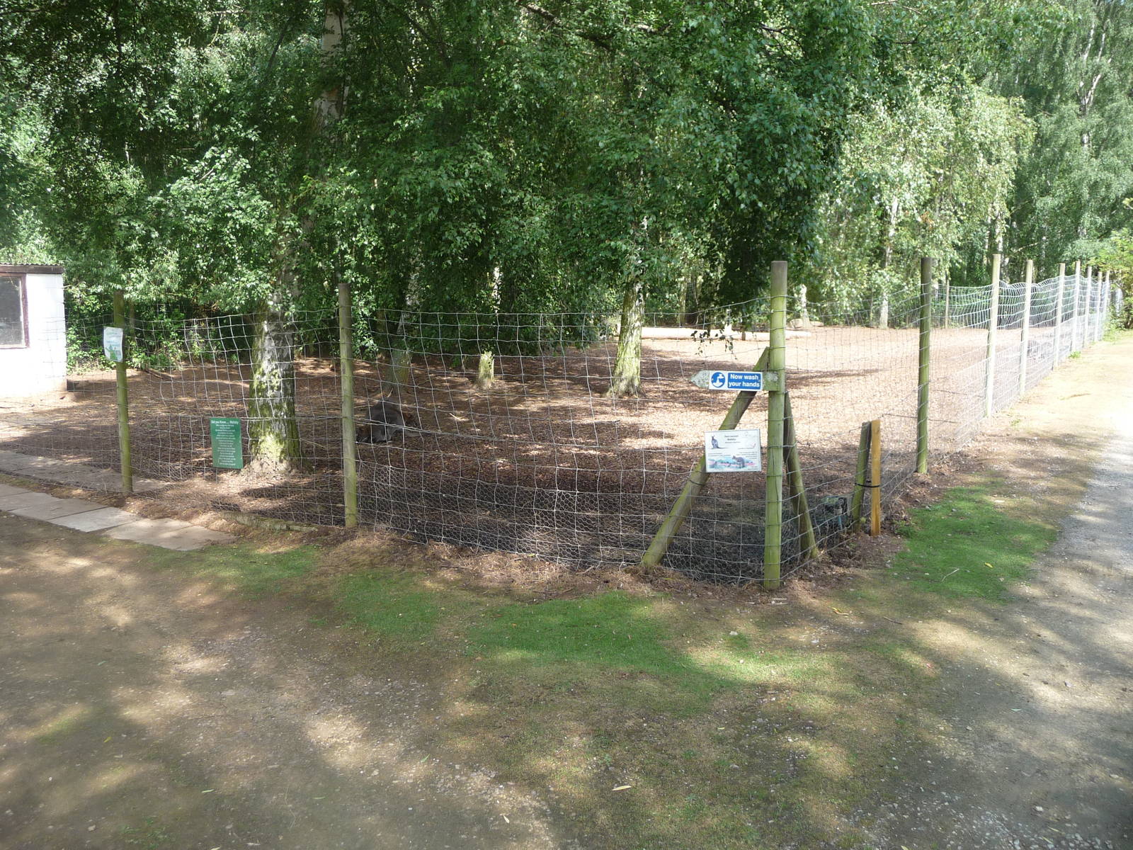 Wallaby enclosure