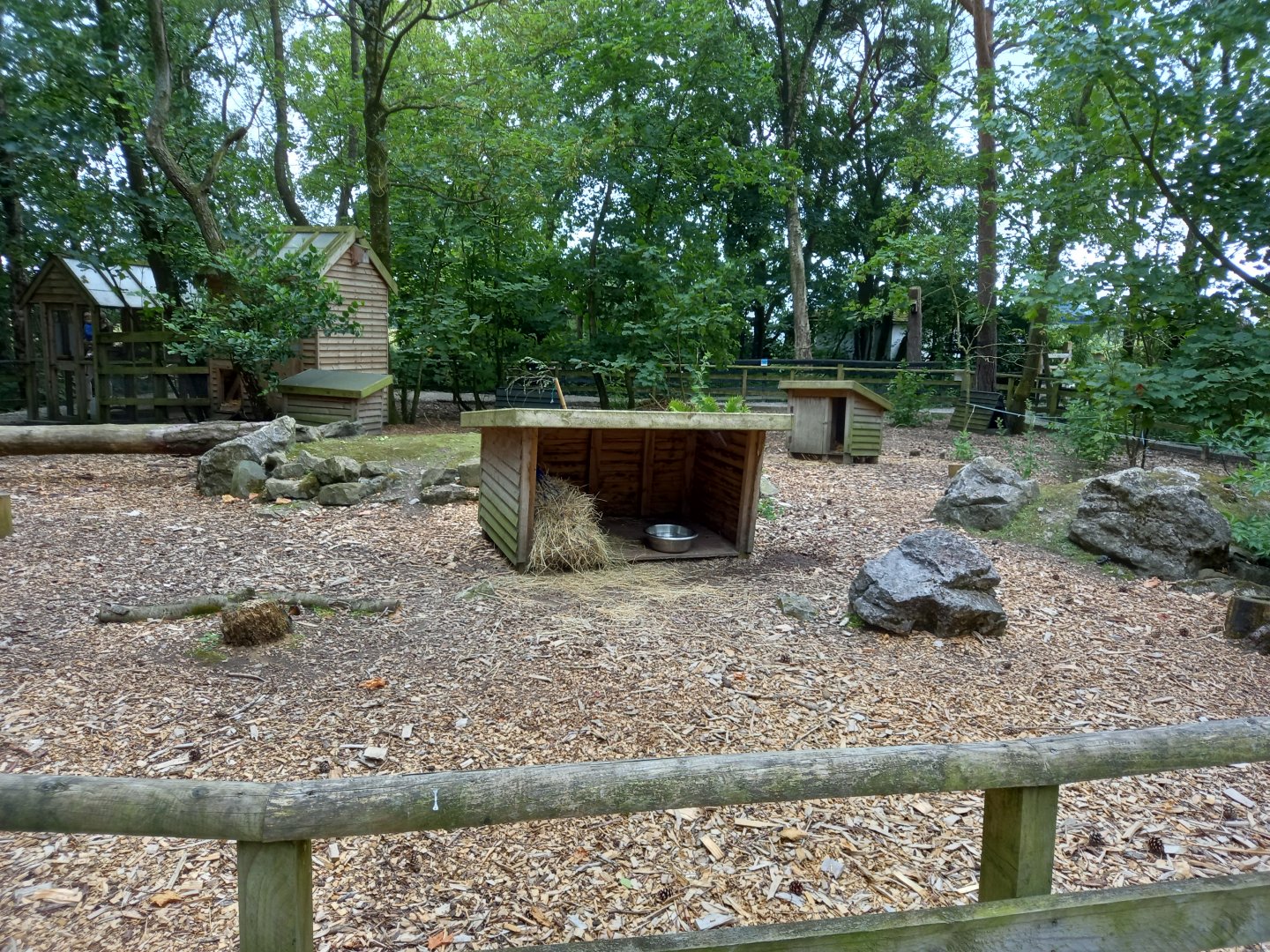 Wallaby Enclosure