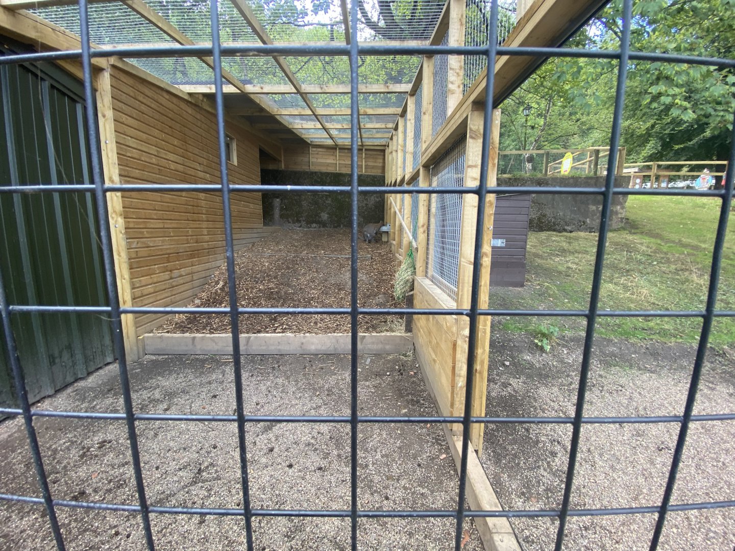 Wallaby enclosure
