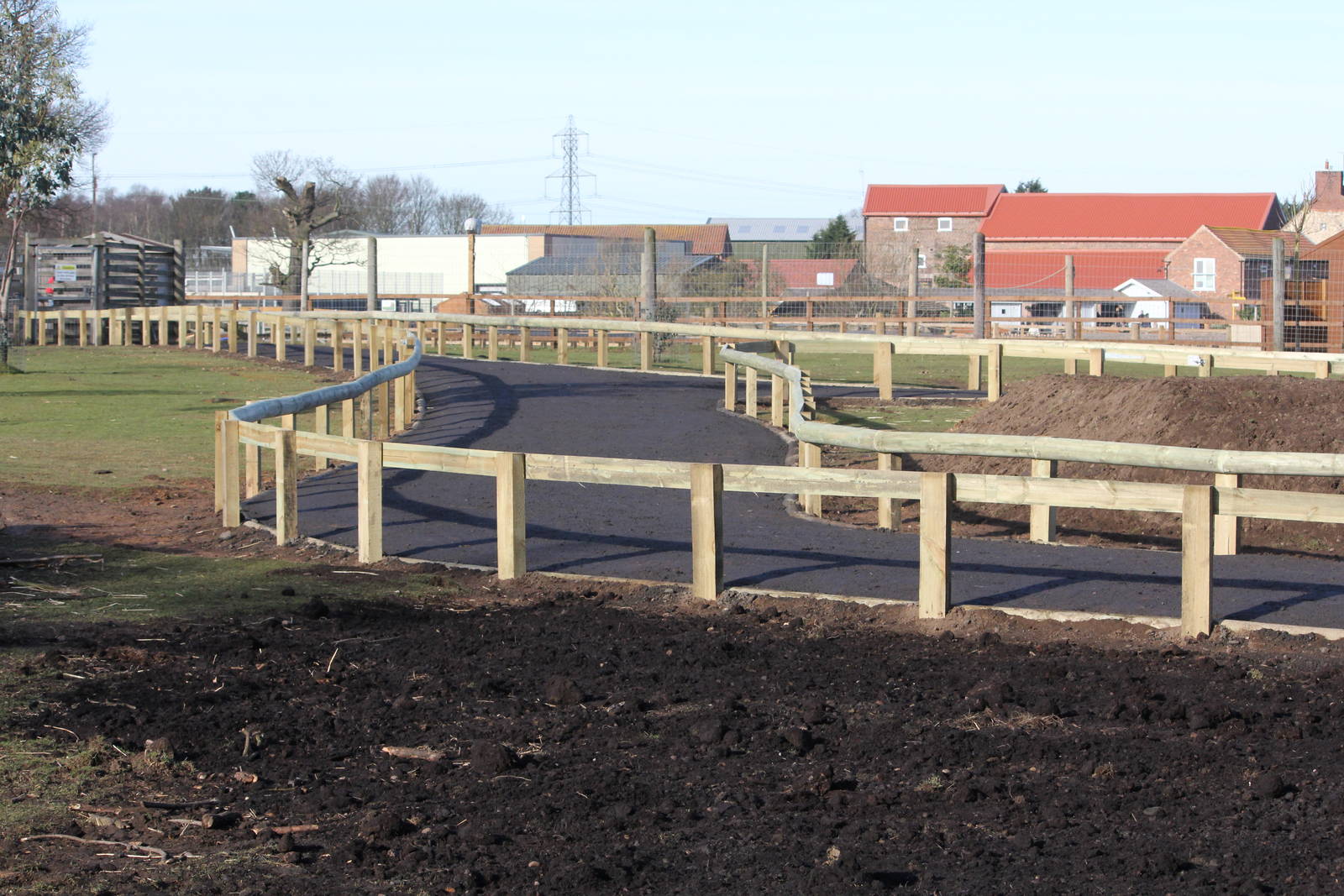 Wallaby enclosures new pathways. 8-2-15