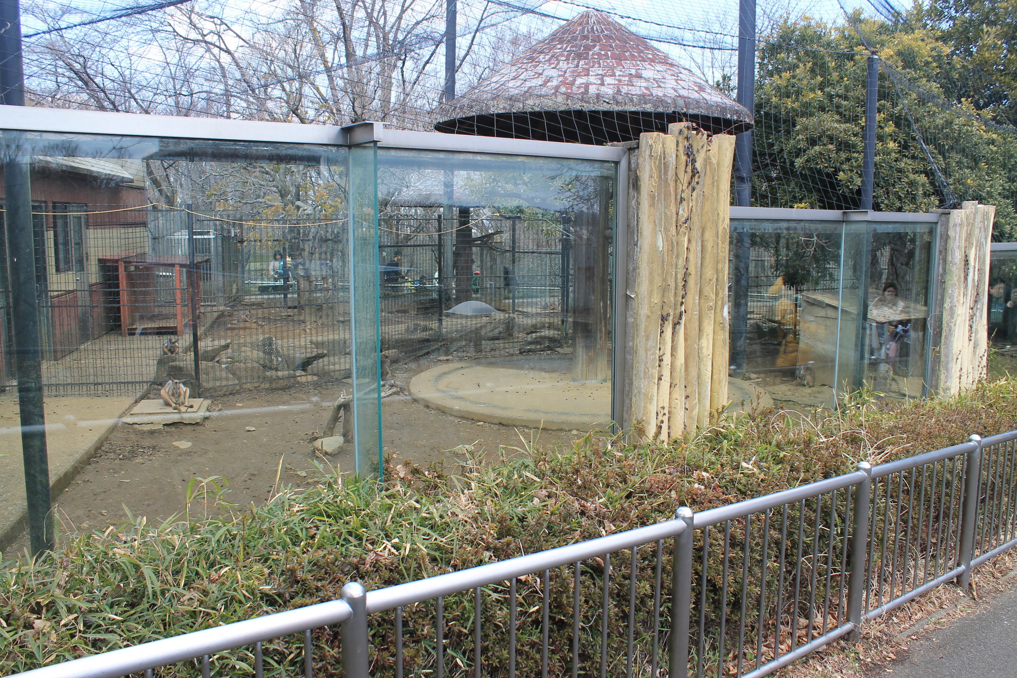 Wallaby enclosures