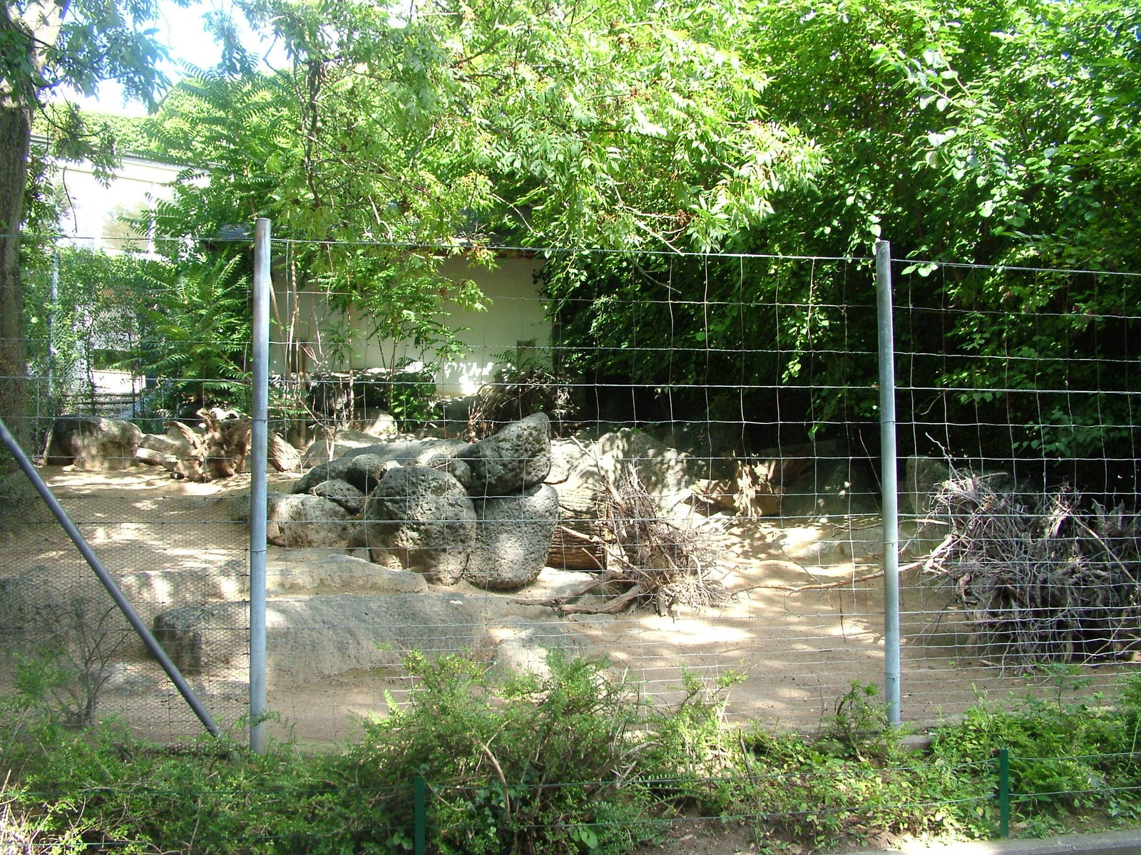 Wallaby Exhibit at Frankfurt 31/08/10