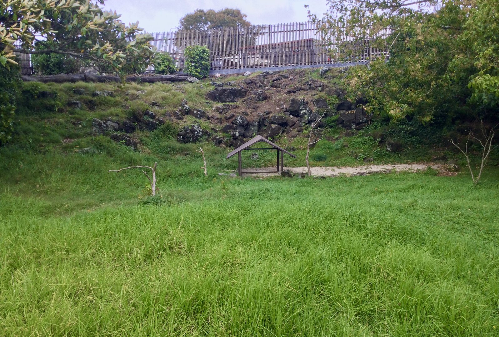 Wallaby Exhibit - Australian Precinct