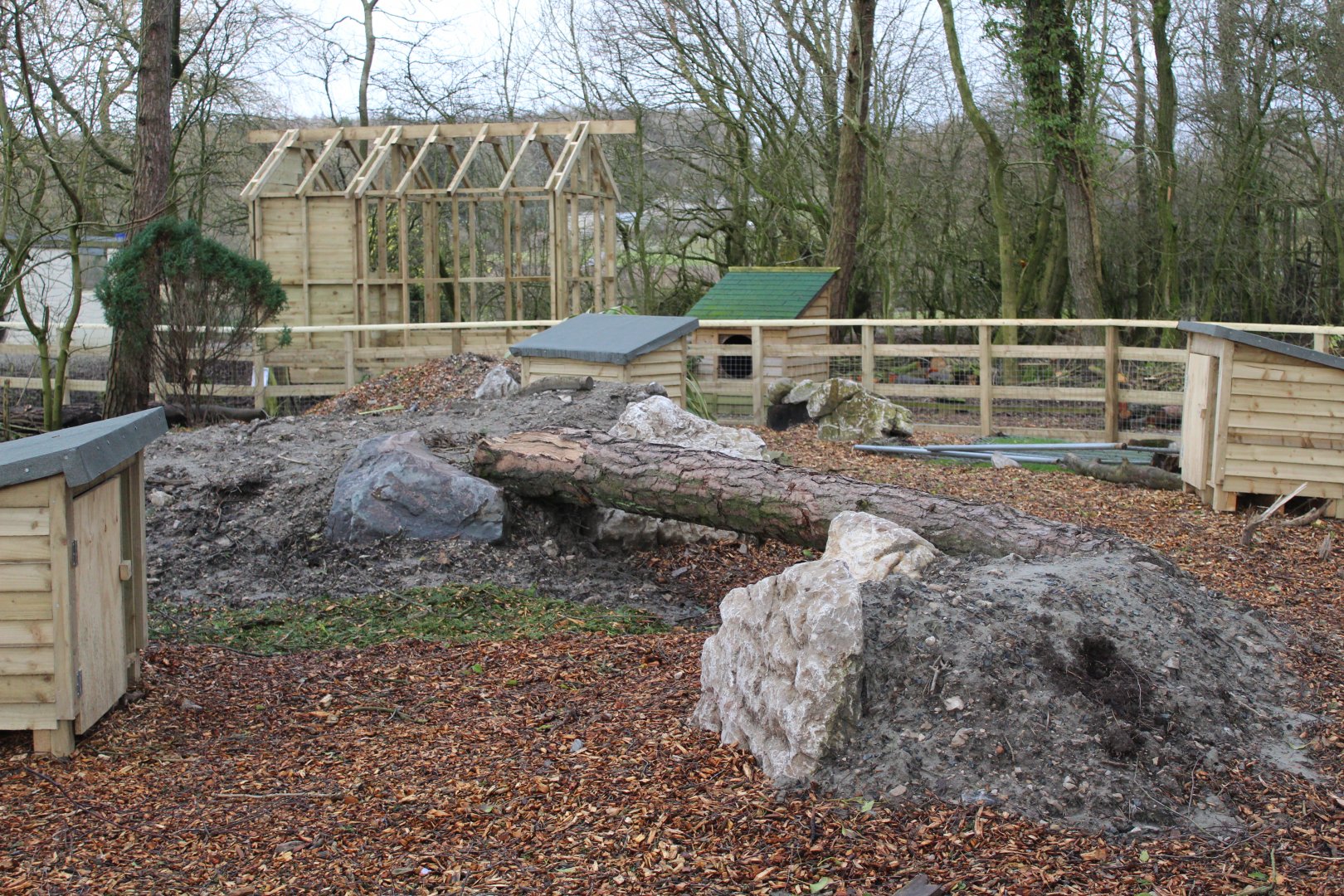 Wallaby Exhibit (awaiting Wallabys)