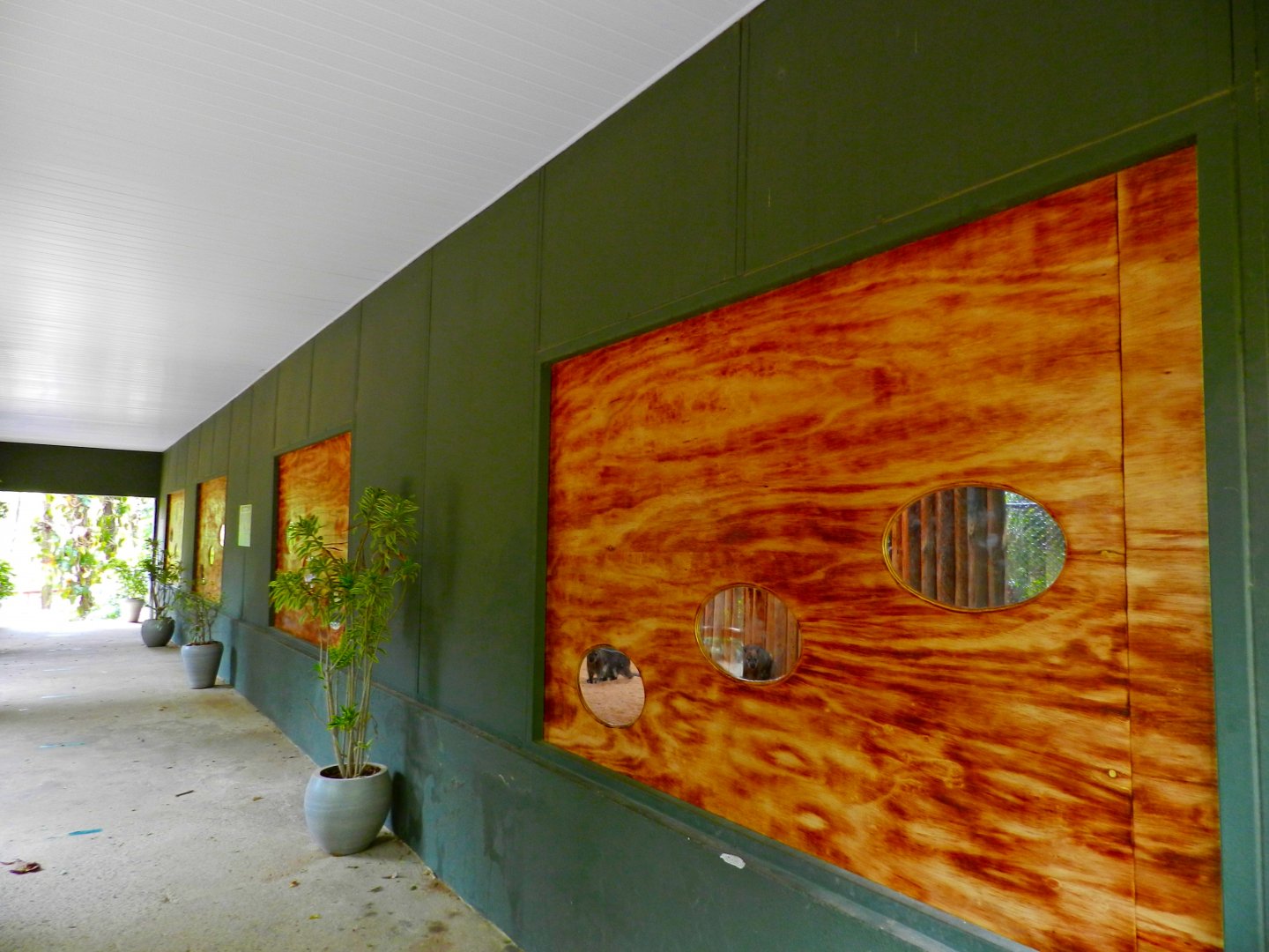 Wallaby exhibit - Zooparque Itatiba