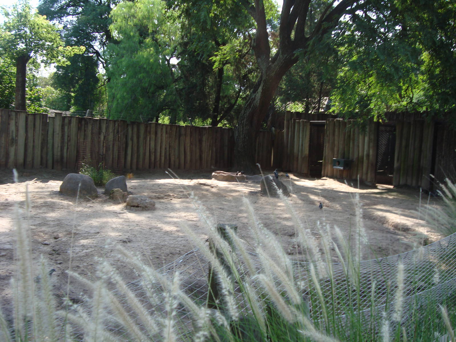 Wallaby Exhibit