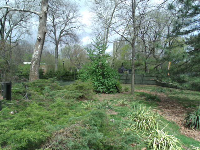 Wallaby/Goose/Kangaroo Enclosure (Part 1)