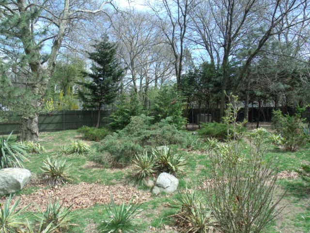 Wallaby/Goose/Kangaroo Enclosure (Part 2)