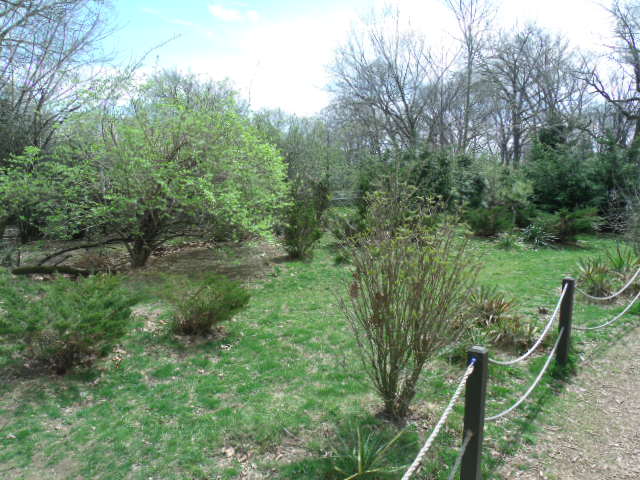 Wallaby/Goose/Kangaroo Enclosure (Part 3)