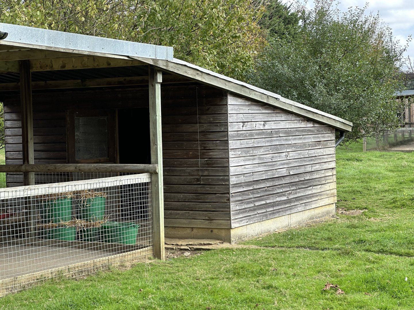 Wallaby Housing at Hamerton Zoo Park (October 2023)