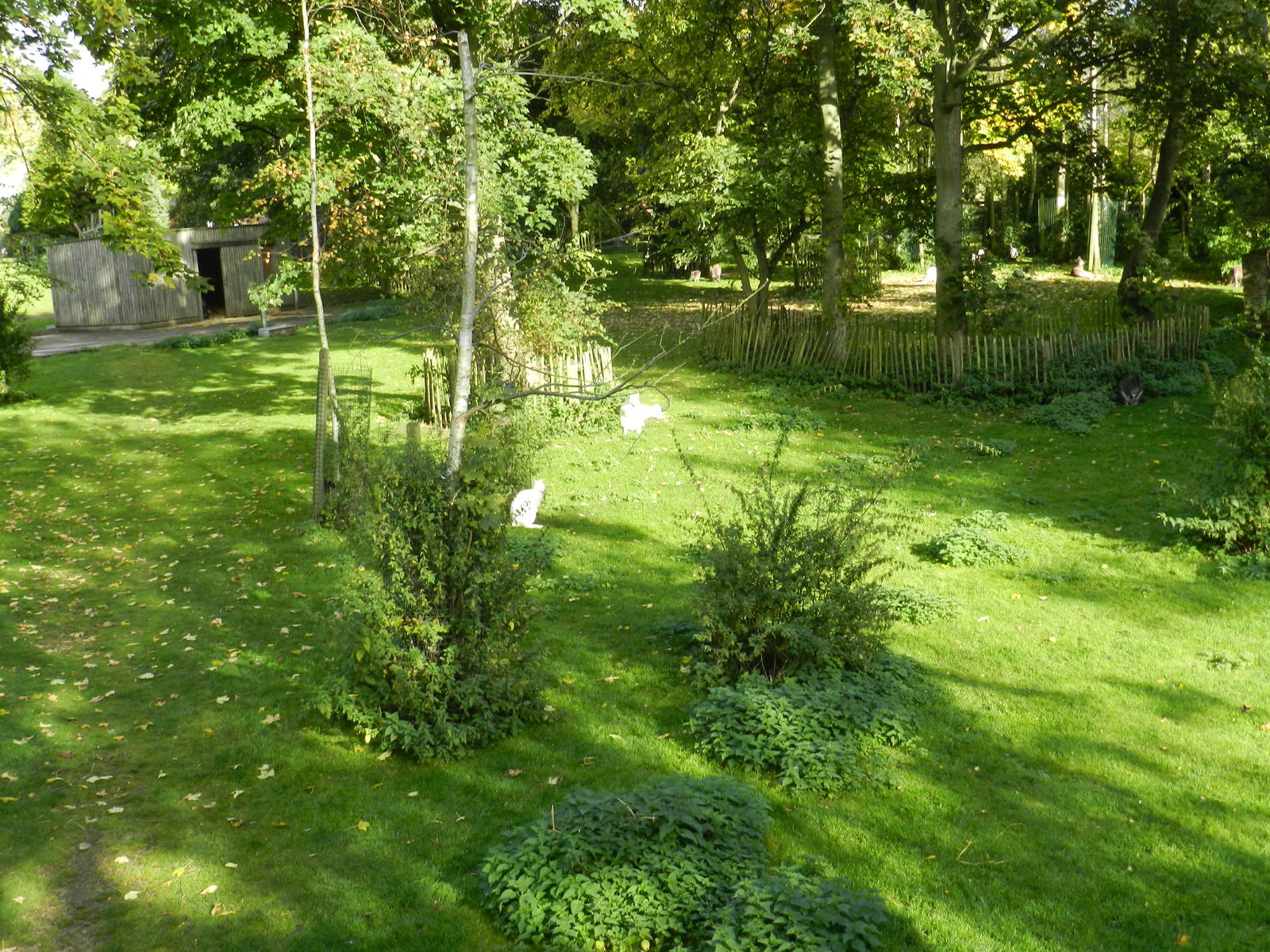 Wallaby/Kangaroo Enclosure at Flamingo Land - 14/10/2012