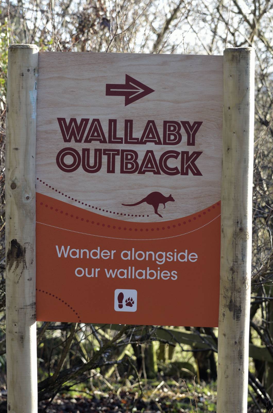 Wallaby Outback Progress Jan 2015