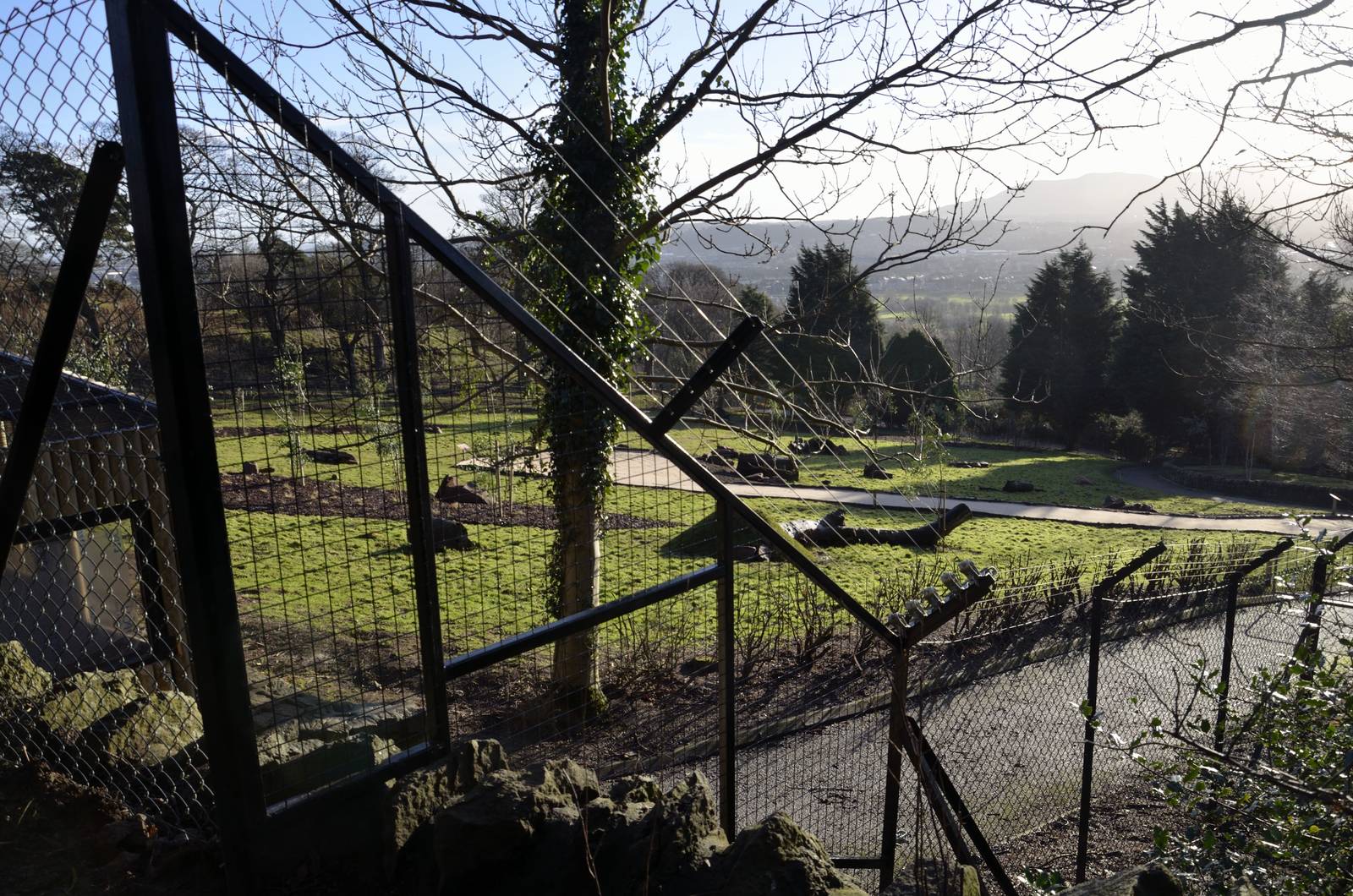 Wallaby Outback Progress Jan 2015