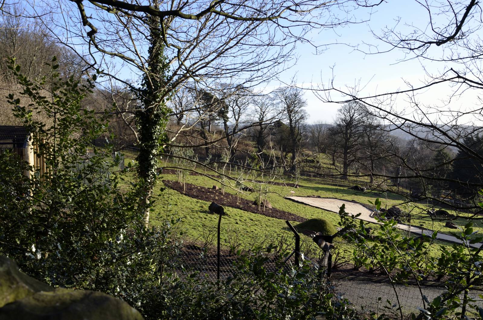 Wallaby Outback Progress Jan 2015