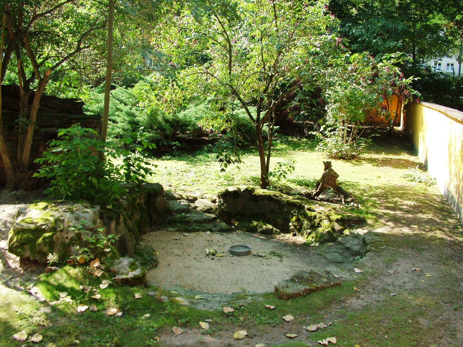 Wallaby Paddock at Dresden, 29/08/12