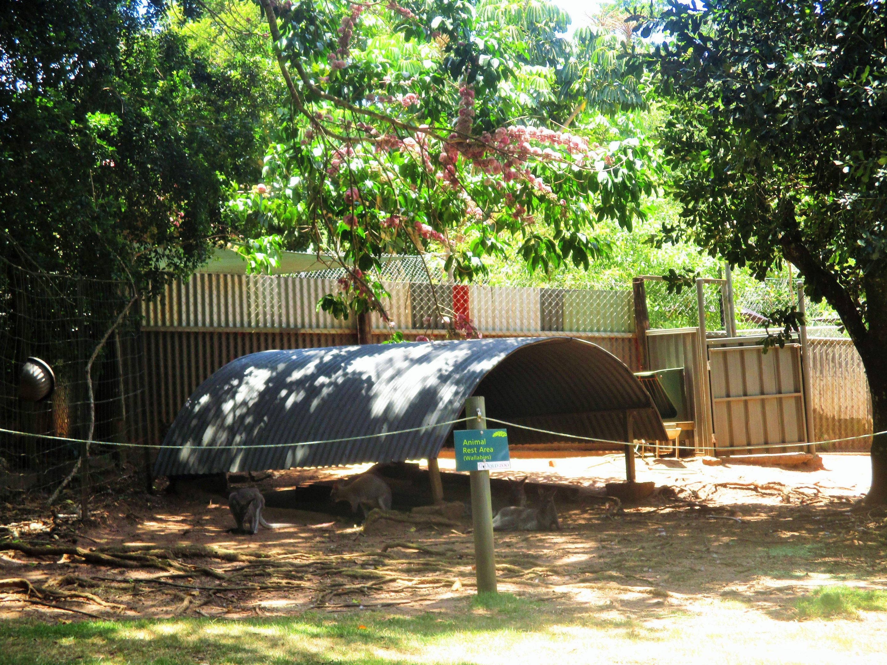 Wallaby Resting Area