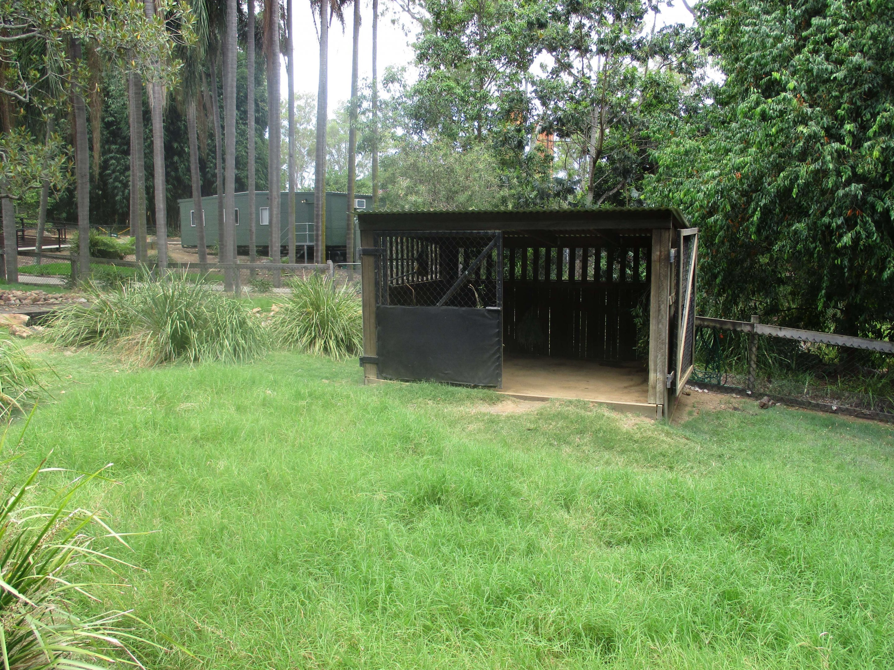 Wallaby Shed