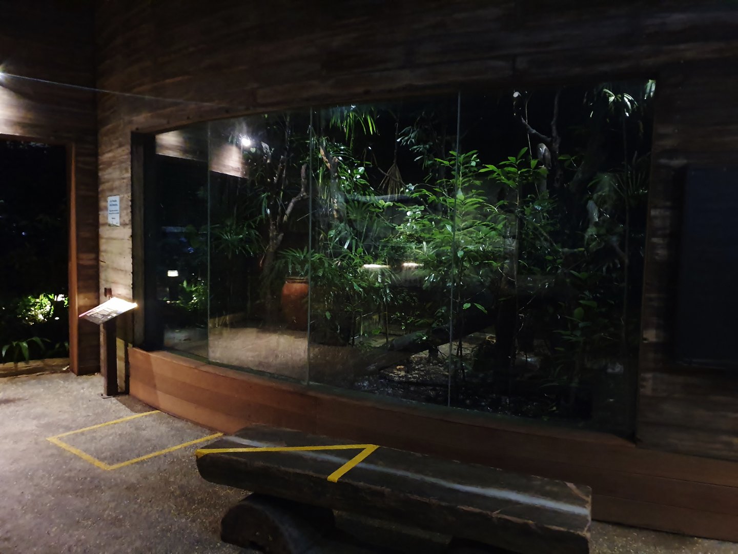 Wallaby Trail - Barn Owl exhibit