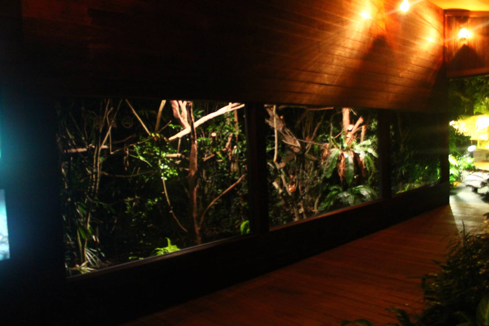 Wallaby Trail - Sugar Glider exhibit