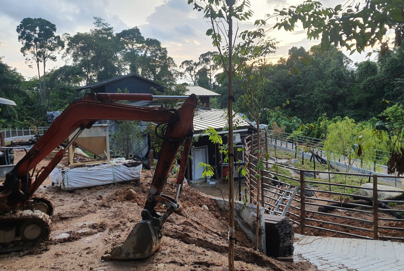Wallaby Trail - Tasmanian Devil exhibit (under construction)