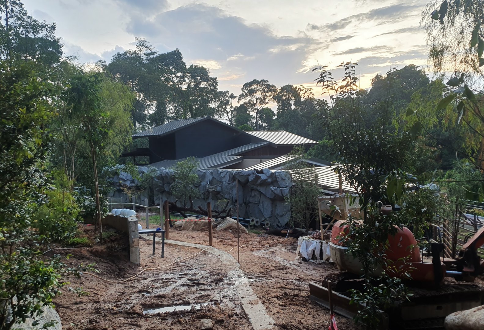 Wallaby Trail - Tasmanian Devil exhibit (under construction)