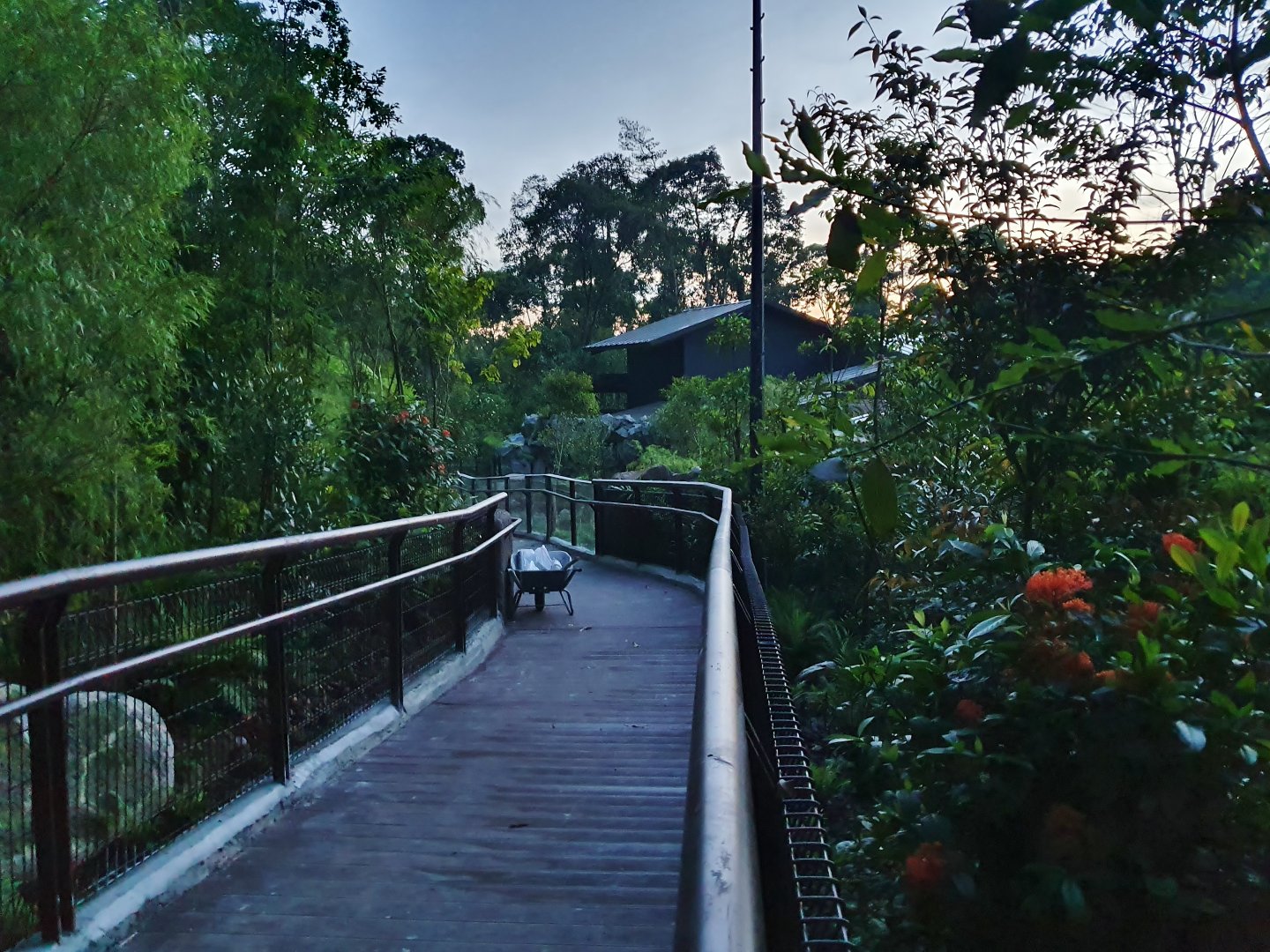 Wallaby Trail - Tasmanian Devil exhibit (under construction)