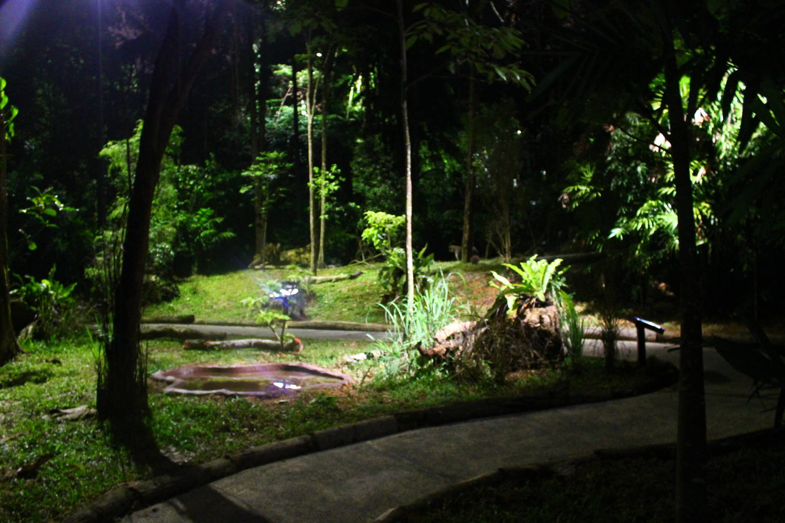 Wallaby Trail - Wallaby walk-thru exhibit