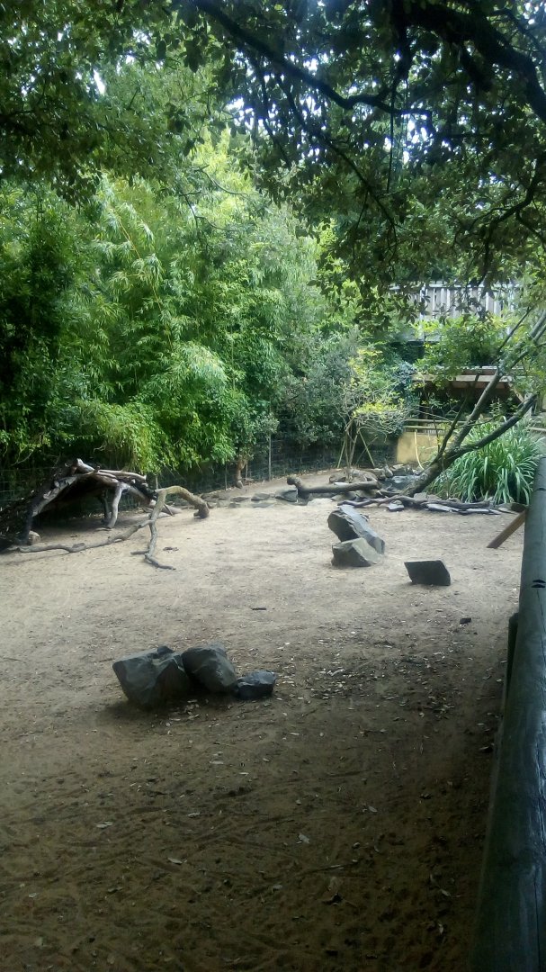 Wallaby/Turtle Exhibit