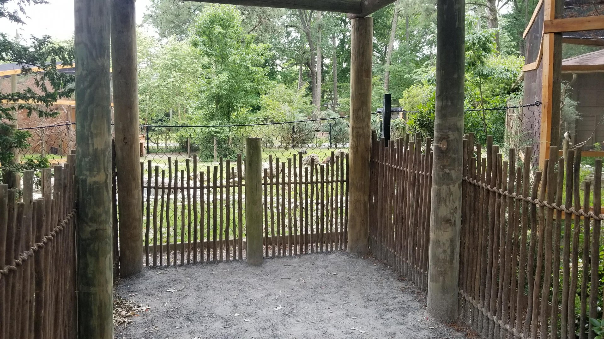 Wallaby viewing area