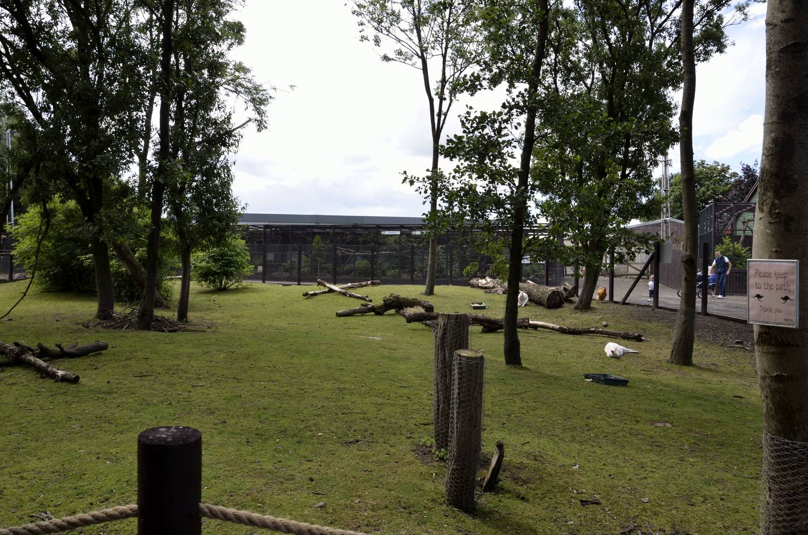 Wallaby walk through-06/07/2014