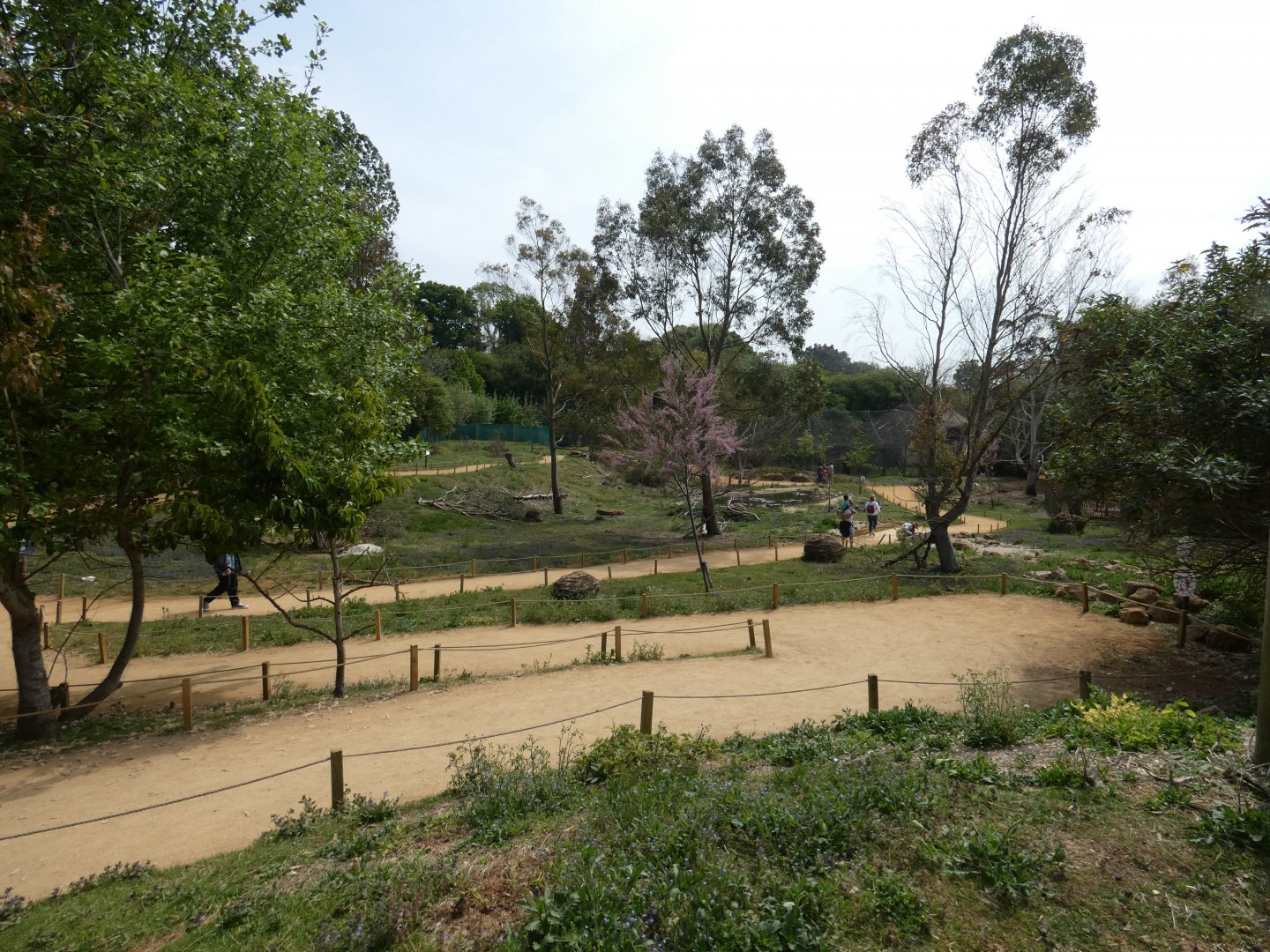 Wallaby walk-through (2)