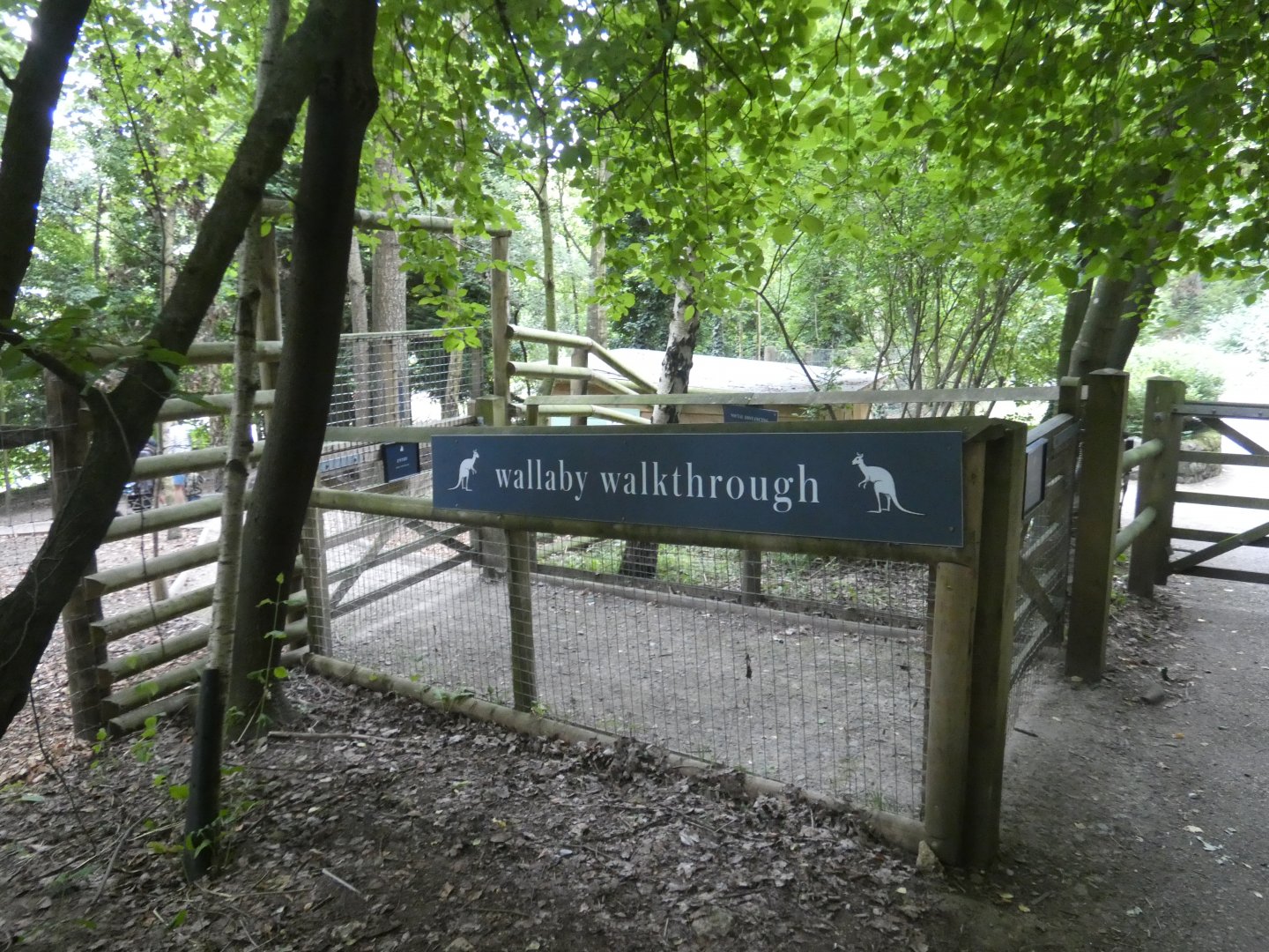 Wallaby walk-through entrance