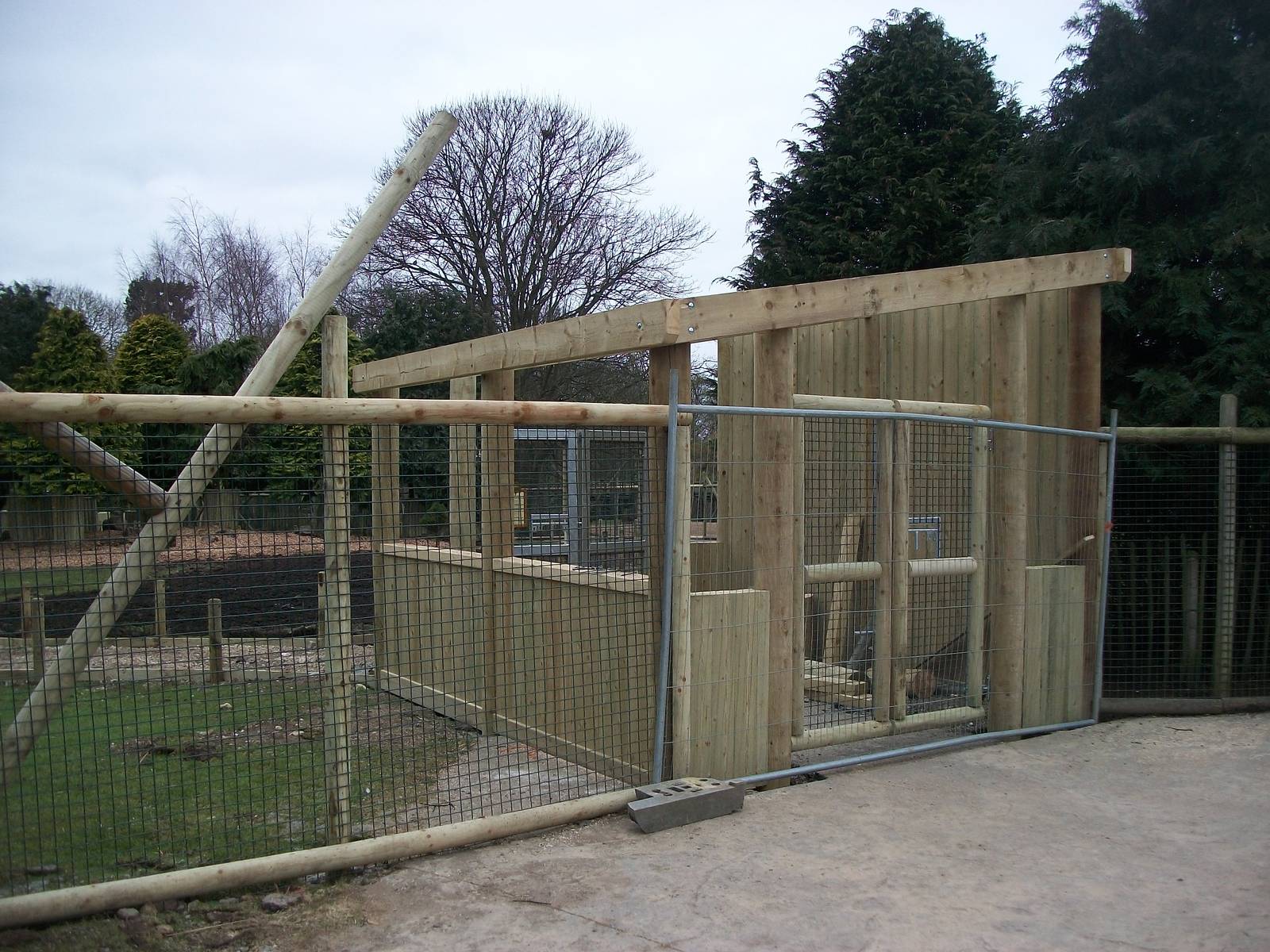 Wallaby Walk-through under construction 22nd February 2013