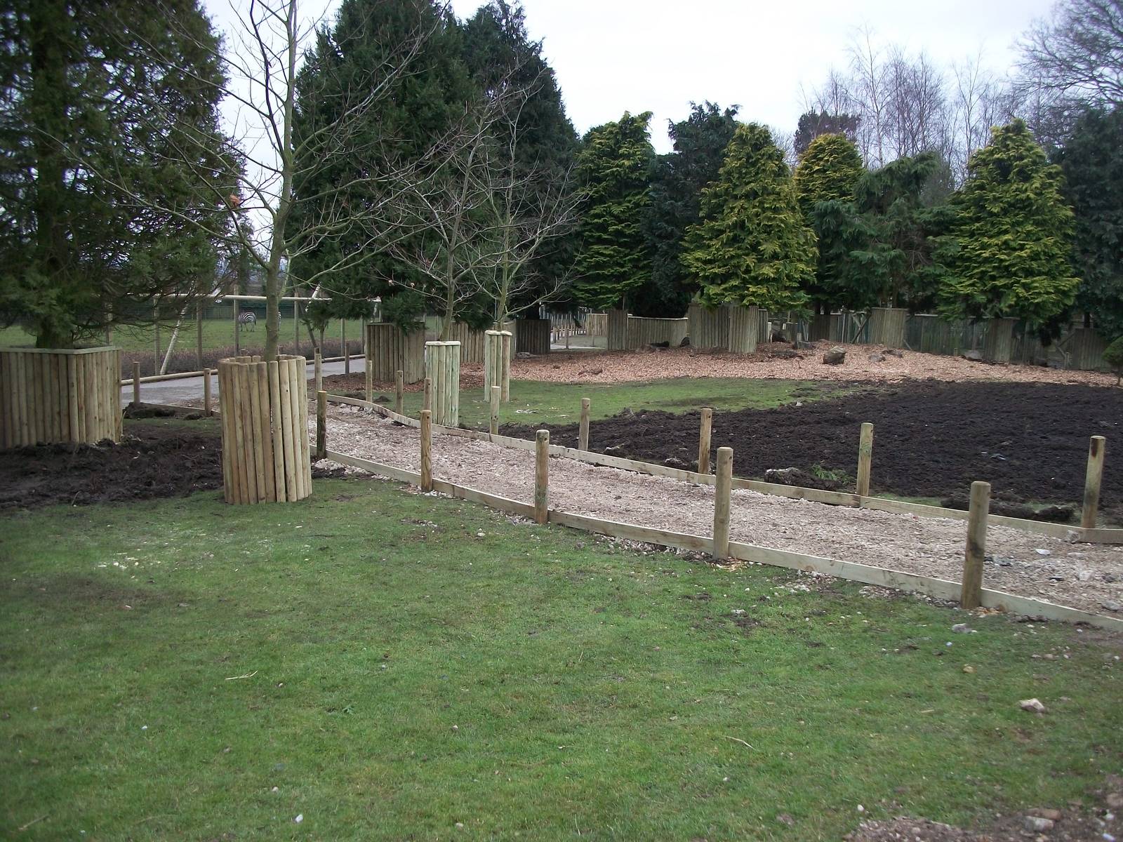 Wallaby Walk-through under construction 22nd February 2013